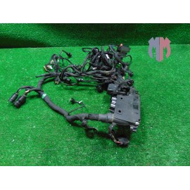 Main wiring harness Ducati Multistrada V4 1100 Pikes Peak 2021 2023