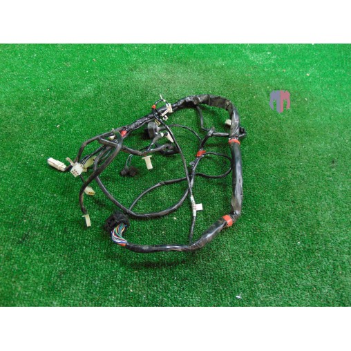 Main wiring harness Askoll ES3 2018 2022