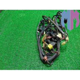 Impianto cablaggio elettrico Suzuki Burgman 250 2001 2003