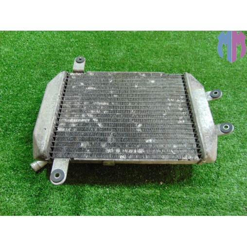 Water cooler Suzuki Burgman 250 2001 2003