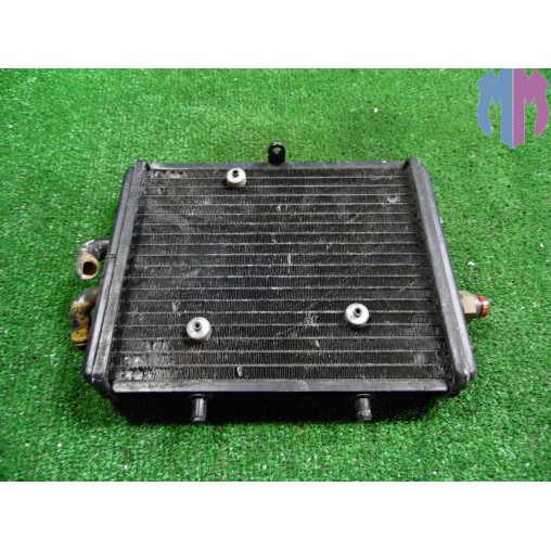 Water cooler Piaggio Carnaby 125 2007 2011