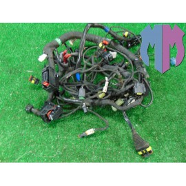 Mazo de cables principal Ducati Scrambler 800 Icon 2015 2016
