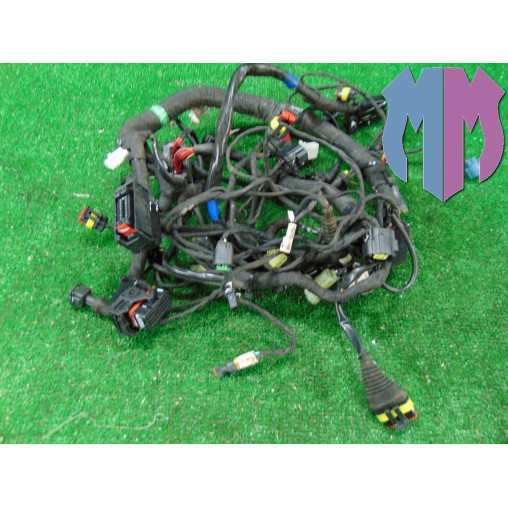 Mazo de cables principal Ducati Scrambler 800 Icon 2015 2016
