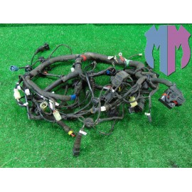 Mazo de cables principal Ducati Scrambler 800 Icon 2015 2016