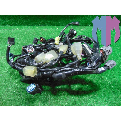 Mazo de cables principal Kawasaki Z 900 2021 2024