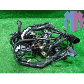 Hauptkabelbaum Kawasaki Z 900 2021 2024
