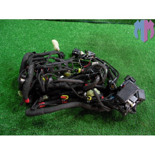 Impianto cablaggio elettrico Ducati Monster 821 Dark ABS 2014 2016