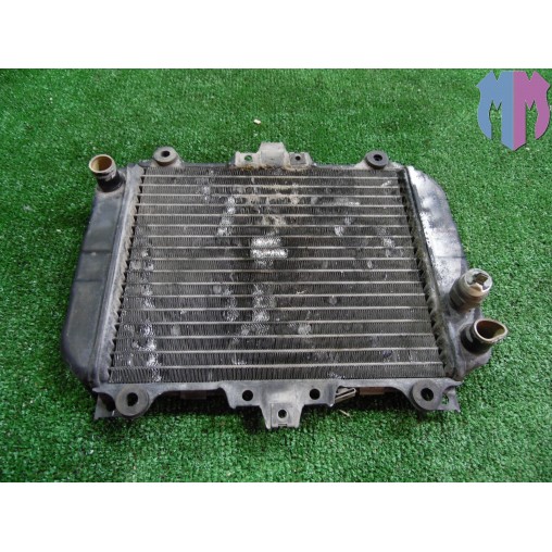 Water cooler Kawasaki KLE 500 2001 2004