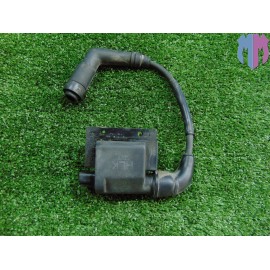 Bobine allumage Adiva AD 200 2008 2014