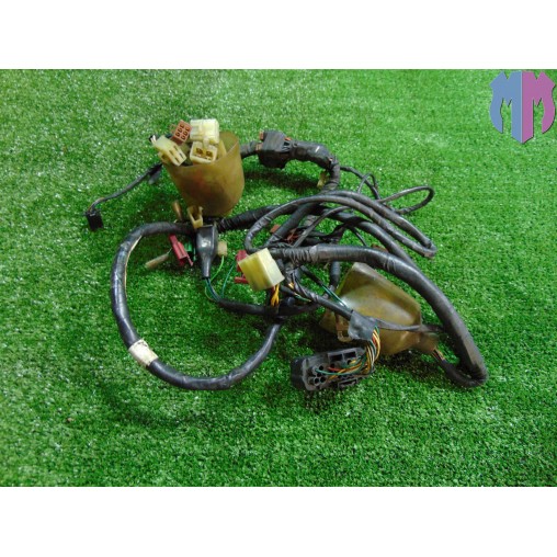 Main wiring harness Honda Foresight 250 2005 2006
