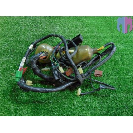 Main wiring harness Honda Foresight 250 2005 2006