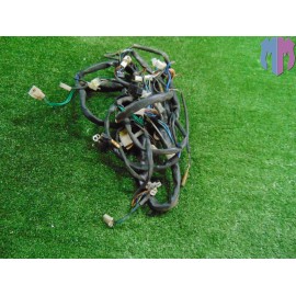 Mazo de cables principal Malaguti Madison 125