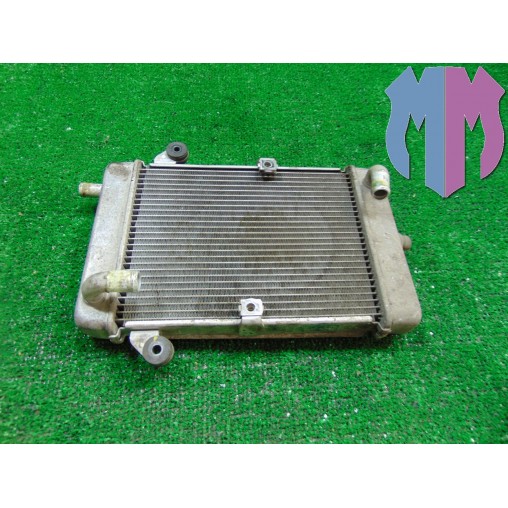 Wasserkühler Honda SH 300 I ABS 2015 2016